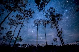 Paisaje nocturno